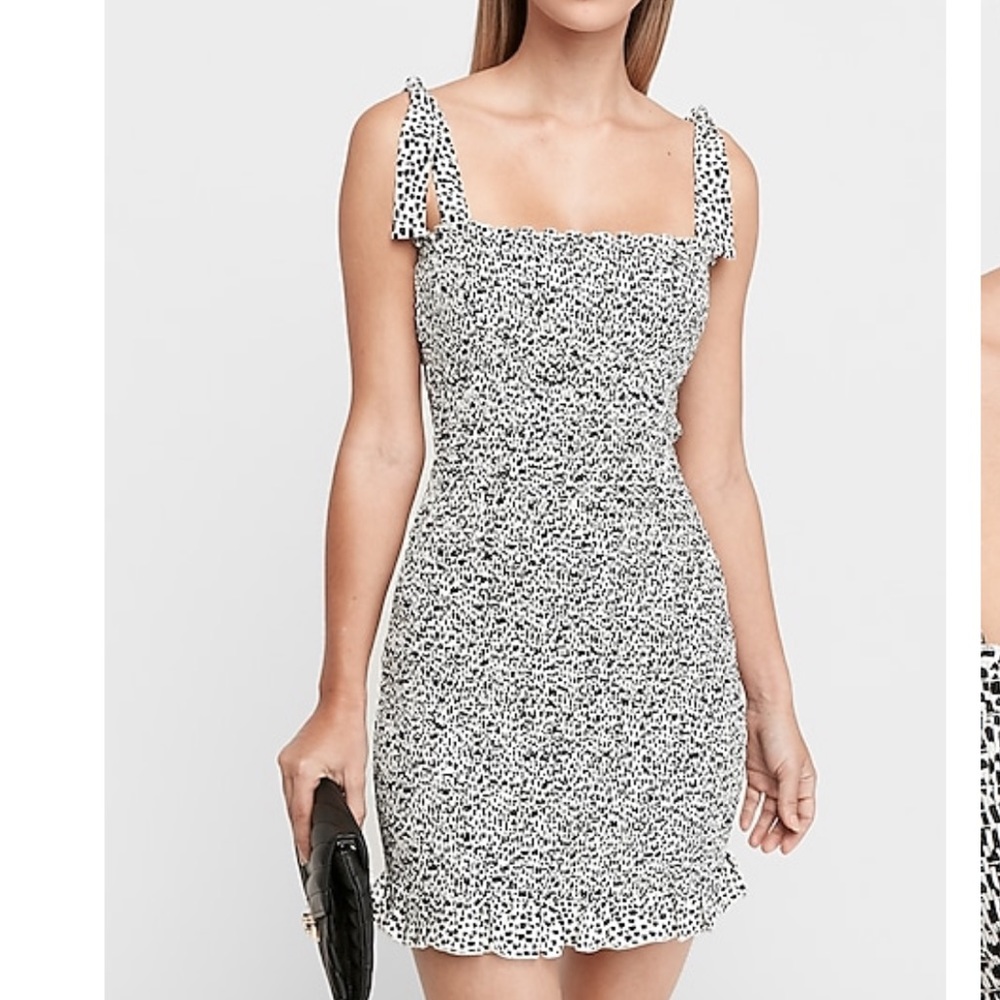 Snake print Tie Sleeve Smocked Mini Dress